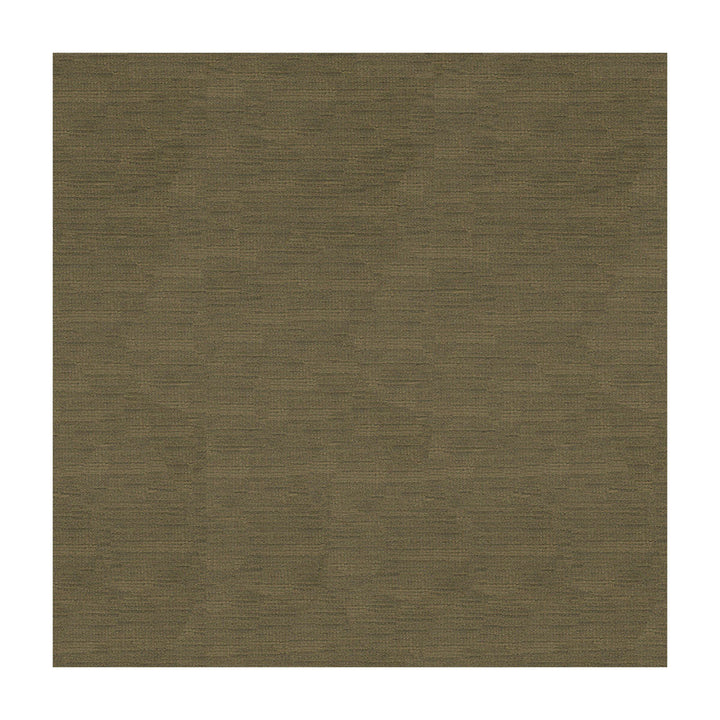 Lazare Velvet Driftwood by Brunschwig & Fils Fabric Brunschwig & Fils Fabric Lazare Velvet DriftwoodFabric VISCOSE - 62%;COTTON - 32%;POLYESTER - 6% Italy </p><p>Repeat: H: , V: 55 - Fabric Carolina -
