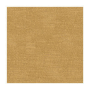 Lazare Velvet Cream by Brunschwig & Fils Fabric