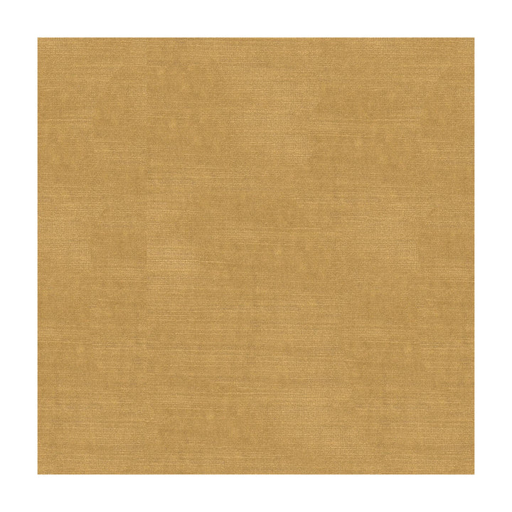 Lazare Velvet Cream by Brunschwig & Fils Fabric Brunschwig & Fils Fabric Lazare Velvet CreamFabric VISCOSE - 62%;COTTON - 32%;POLYESTER - 6% Italy </p><p>Repeat: H: , V: 55 - Fabric Carolina -