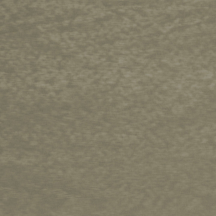 Lazare Velvet Dove by Brunschwig & Fils Fabric Brunschwig & Fils Fabric Lazare Velvet DoveFabric VISCOSE - 62%;COTTON - 32%;POLYESTER - 6% Italy </p><p>Repeat: H: , V: 55 - Fabric Carolina -