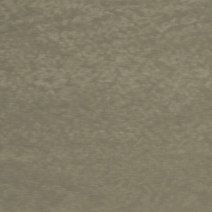 Lazare Velvet Dove by Brunschwig & Fils Fabric Brunschwig & Fils Fabric Lazare Velvet DoveFabric VISCOSE - 62%;COTTON - 32%;POLYESTER - 6% Italy </p><p>Repeat: H: , V: 55 - Fabric Carolina -