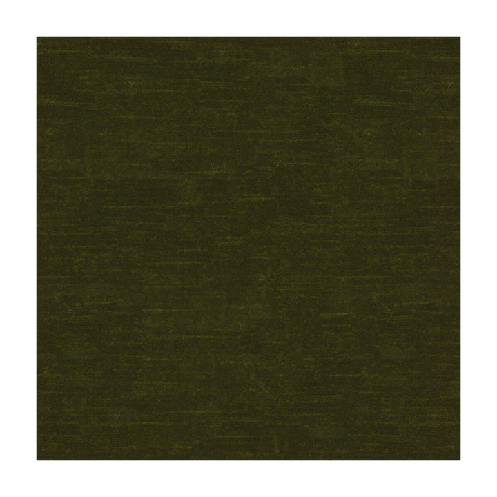 Lazare Velvet Oregano by Brunschwig & Fils Fabric Brunschwig & Fils Fabric Lazare Velvet OreganoFabric VISCOSE - 62%;COTTON - 32%;POLYESTER - 6% Italy </p><p>Repeat: H: , V: 55 - Fabric Carolina -