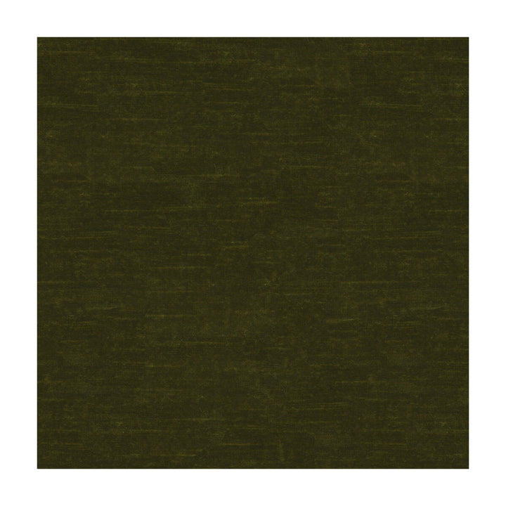 Lazare Velvet Oregano by Brunschwig & Fils Fabric Brunschwig & Fils Fabric Lazare Velvet OreganoFabric VISCOSE - 62%;COTTON - 32%;POLYESTER - 6% Italy </p><p>Repeat: H: , V: 55 - Fabric Carolina -