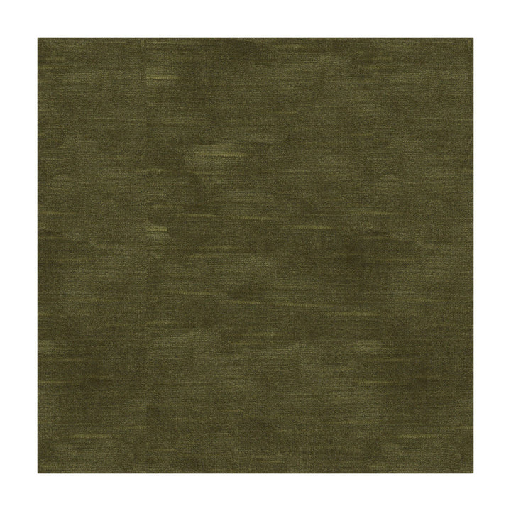 Lazare Velvet Olive by Brunschwig & Fils Fabric Brunschwig & Fils Fabric Lazare Velvet OliveFabric VISCOSE - 62%;COTTON - 32%;POLYESTER - 6% Italy </p><p>Repeat: H: , V: 55 - Fabric Carolina -