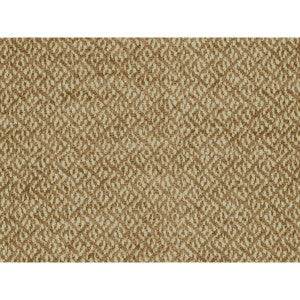 Cottian Chenille Rattan by Brunschwig & Fils Fabric