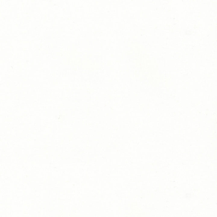 Adrien Cotton Snow by Brunschwig & Fils Fabric Brunschwig & Fils Fabric Adrien Cotton SnowFabric COTTON - 100% India </p><p>Repeat: H: 0, V: 0 58 - Fabric Carolina -