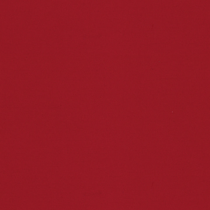Adrien Cotton Red by Brunschwig & Fils Fabric Brunschwig & Fils Fabric Adrien Cotton RedFabric COTTON - 100% India </p><p>Repeat: H: 0, V: 0 58 - Fabric Carolina -