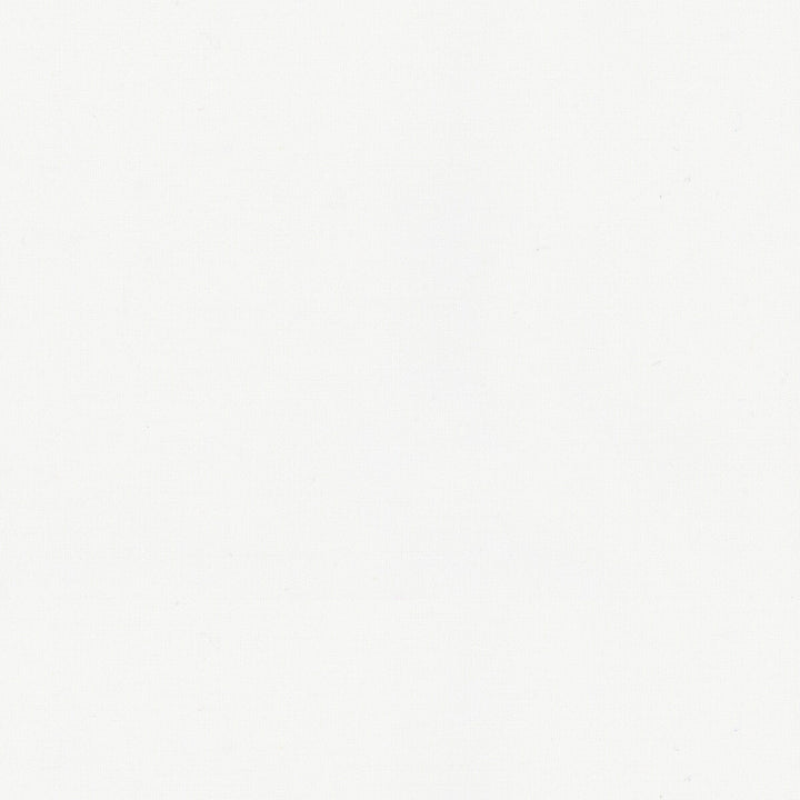 Adrien Cotton Ivory by Brunschwig & Fils Fabric Brunschwig & Fils Fabric Adrien Cotton IvoryFabric COTTON - 100% India </p><p>Repeat: H: 0, V: 0 58 - Fabric Carolina -