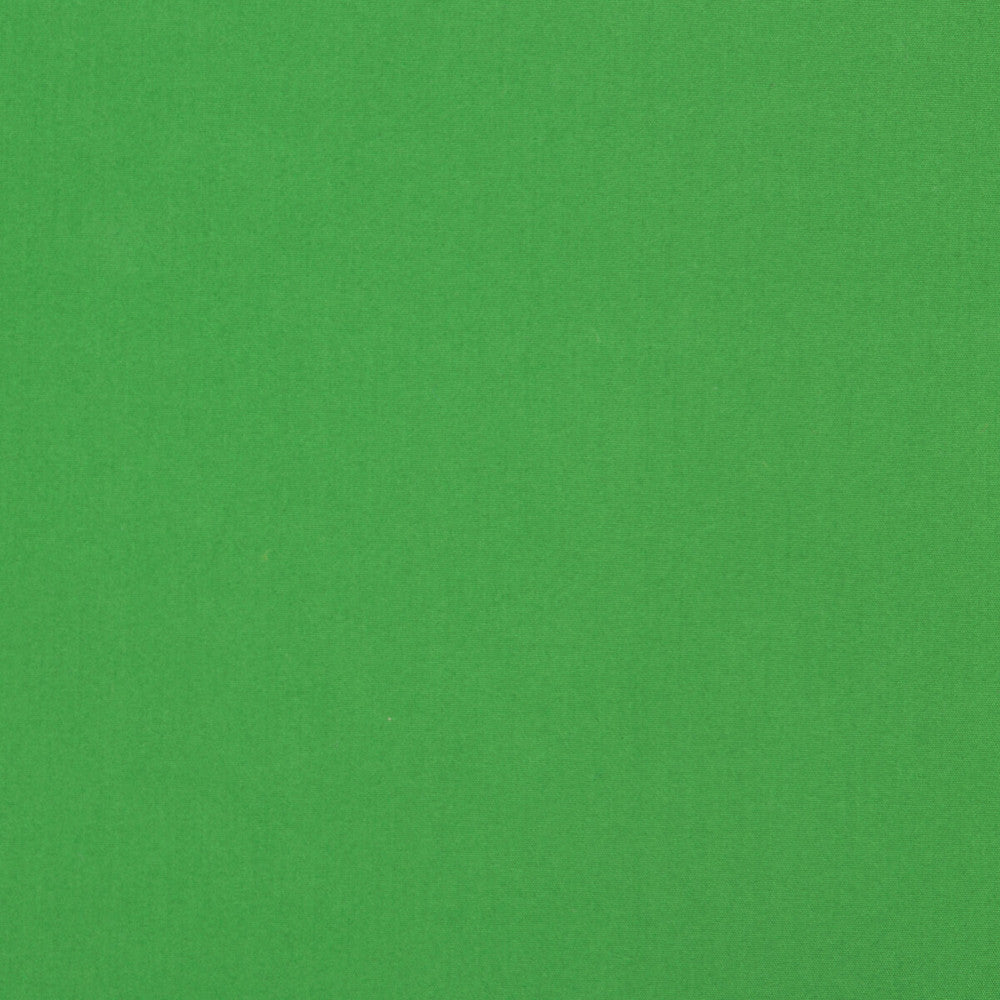 Adrien Cotton Green by Brunschwig & Fils Fabric Brunschwig & Fils Fabric Adrien Cotton GreenFabric COTTON - 100% India </p><p>Repeat: H: 0, V: 0 58 - Fabric Carolina -