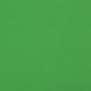 Adrien Cotton Green by Brunschwig & Fils Fabric