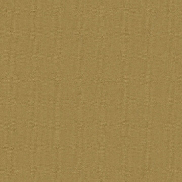Adrien Cotton Camel by Brunschwig & Fils Fabric Brunschwig & Fils Fabric Adrien Cotton CamelFabric COTTON - 100% India </p><p>Repeat: H: 0, V: 0 58 - Fabric Carolina -
