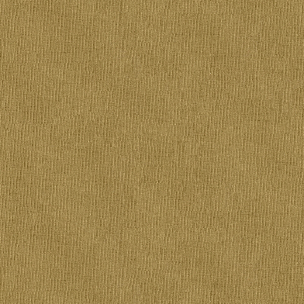 Adrien Cotton Camel by Brunschwig & Fils Fabric Brunschwig & Fils Fabric Adrien Cotton CamelFabric COTTON - 100% India </p><p>Repeat: H: 0, V: 0 58 - Fabric Carolina -