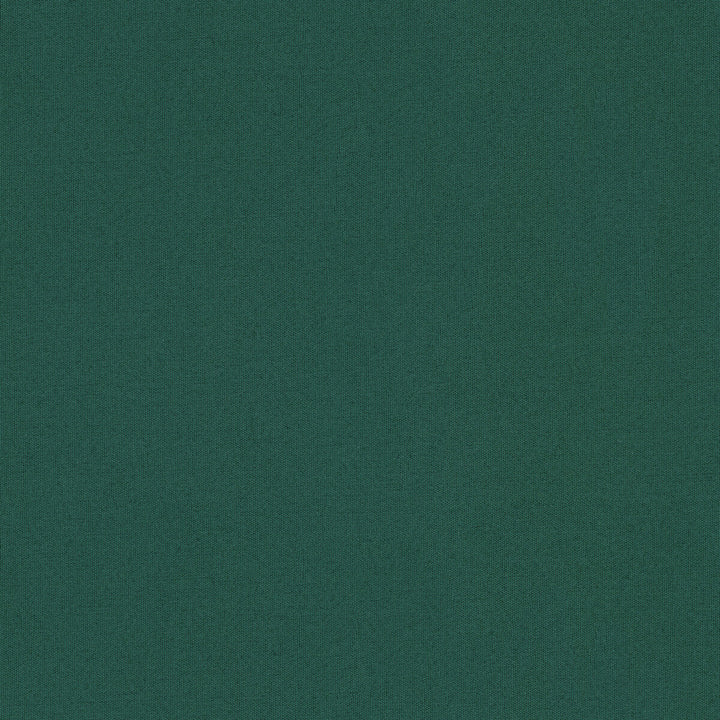 Adrien Cotton Billiard by Brunschwig & Fils Fabric Brunschwig & Fils Fabric Adrien Cotton BilliardFabric COTTON - 100% India </p><p>Repeat: H: 0, V: 0 58 - Fabric Carolina -
