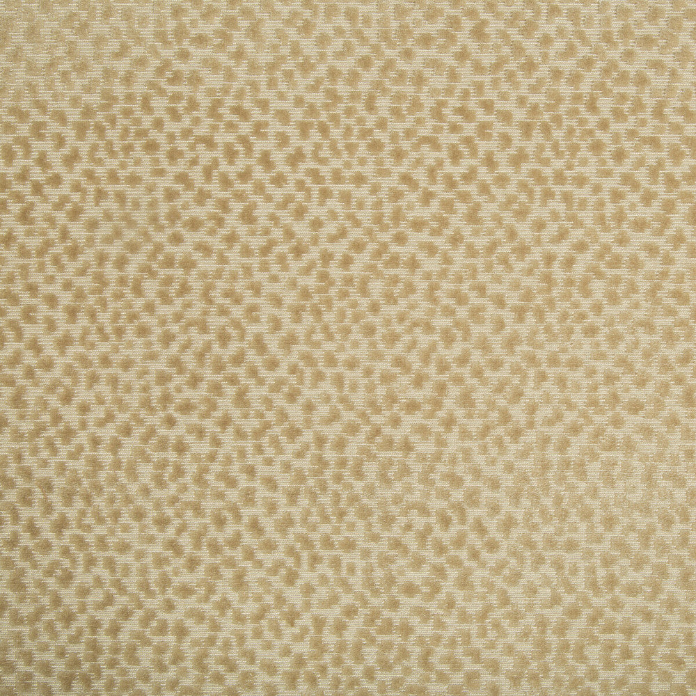 La Panthere Velvet Sand by Brunschwig & Fils Fabric Brunschwig & Fils Fabric La Panthere Velvet SandFabric LES ENSEMBLIERS VISCOSE - 64%;COTTON - 36% India </p><p>Repeat: H: 3.5, V: 3 54 - Fabric Carolina -