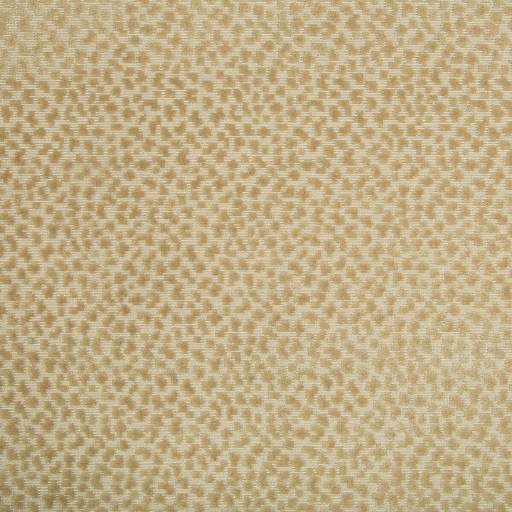La Panthere Velvet Sand by Brunschwig & Fils Fabric Brunschwig & Fils Fabric La Panthere Velvet SandFabric LES ENSEMBLIERS VISCOSE - 64%;COTTON - 36% India </p><p>Repeat: H: 3.5, V: 3 54 - Fabric Carolina -