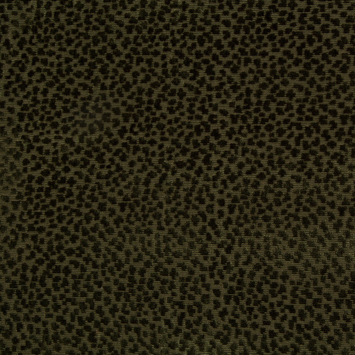 La Panthere Velvet Green by Brunschwig & Fils Fabric Brunschwig & Fils Fabric La Panthere Velvet GreenFabric LES ENSEMBLIERS VISCOSE - 64%;COTTON - 36% India </p><p>Repeat: H: 3.5, V: 3 54 - Fabric Carolina -