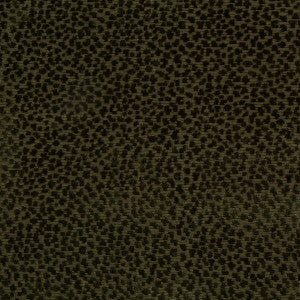 La Panthere Velvet Green by Brunschwig & Fils Fabric