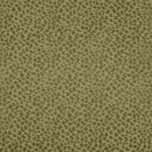 La Panthere Velvet Moss by Brunschwig & Fils Fabric