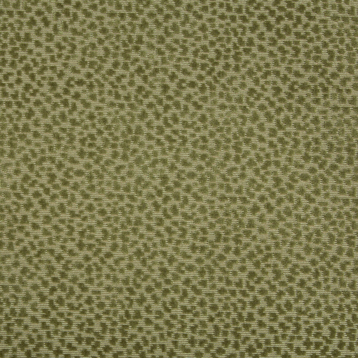 La Panthere Velvet Moss by Brunschwig & Fils Fabric Brunschwig & Fils Fabric La Panthere Velvet MossFabric LES ENSEMBLIERS VISCOSE - 64%;COTTON - 36% India </p><p>Repeat: H: 3.5, V: 3 54 - Fabric Carolina -