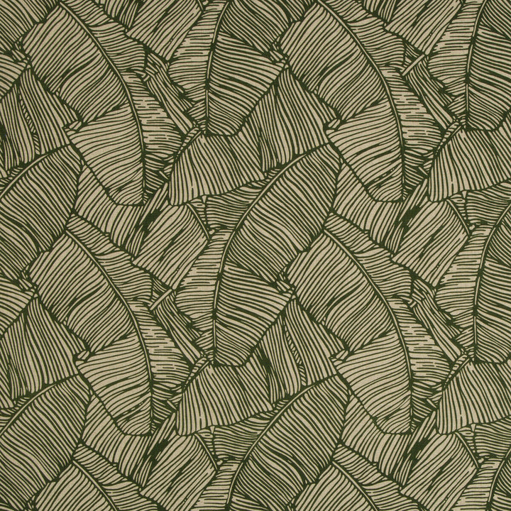 Les Palmiers Print Green by Brunschwig & Fils Fabric Brunschwig & Fils Fabric Les Palmiers Print GreenFabric LES ENSEMBLIERS LINEN - 100% Switzerland </p><p>Repeat: H: 54, V: 24.75 54 - Fabric Carolina -