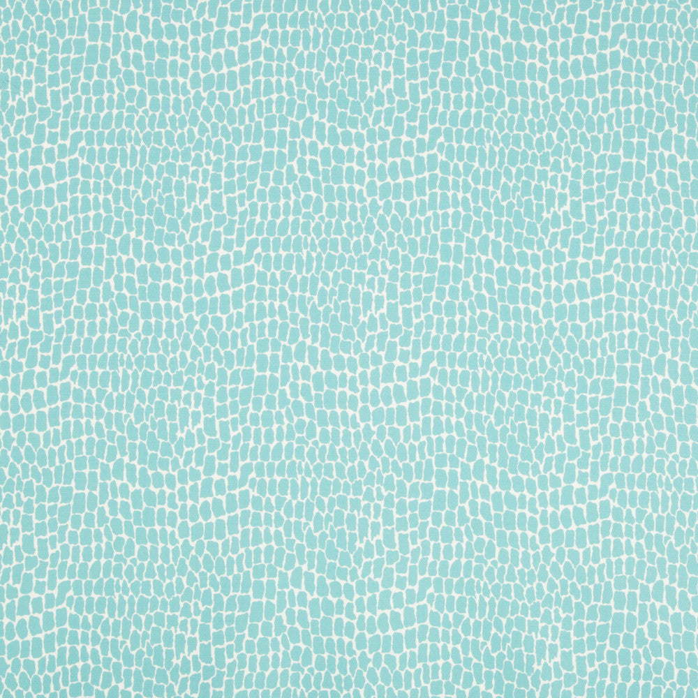 Nile Print Aqua by Brunschwig & Fils Fabric Brunschwig & Fils Fabric Nile Print AquaFabric EN VACANCES SOLUTION DYED POLYESTER - 100% Italy </p><p>Repeat: H: 13.5, V: 17.16 54 - Fabric Carolina -