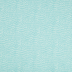 Nile Print Aqua by Brunschwig & Fils Fabric