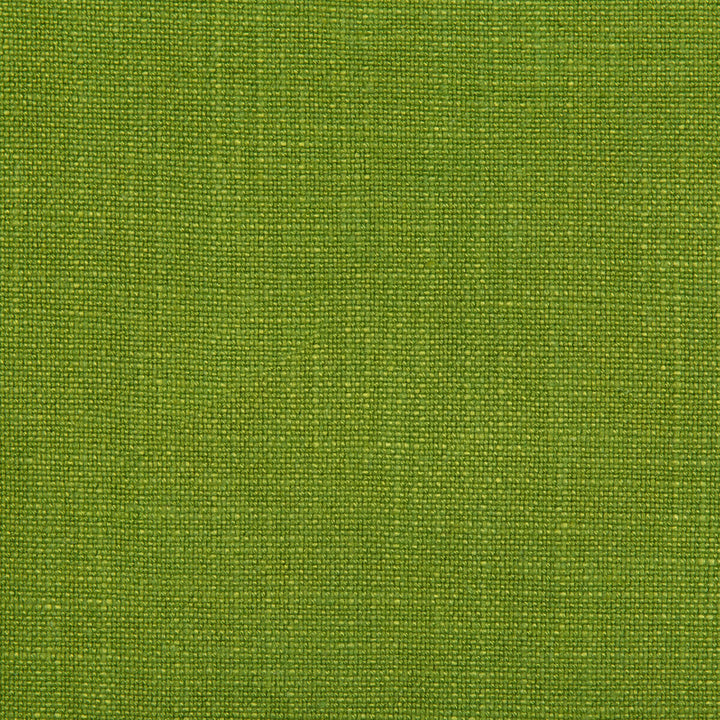 Andelle Plain Green by Brunschwig & Fils Fabric Brunschwig & Fils Fabric Andelle Plain GreenFabric VISCOSE - 75%;LINEN - 25% Italy </p><p>Repeat: H: 0, V: 0 59 - Fabric Carolina -