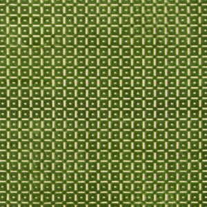 Savanne Velvet Leaf by Brunschwig & Fils Fabric