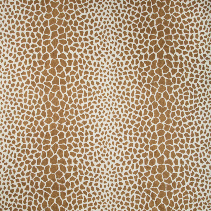 Jiraffa Tan by Brunschwig & Fils Fabric Brunschwig & Fils Fabric Jiraffa TanFabric BARET LINEN - 100% China </p><p>Repeat: H: 27, V: 26.5 54 - Fabric Carolina -