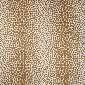 Jiraffa Tan by Brunschwig & Fils Fabric