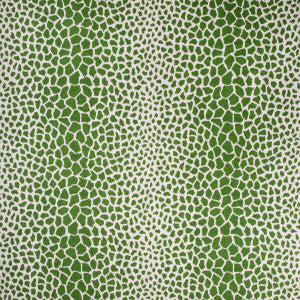 Jiraffa Fern by Brunschwig & Fils Fabric
