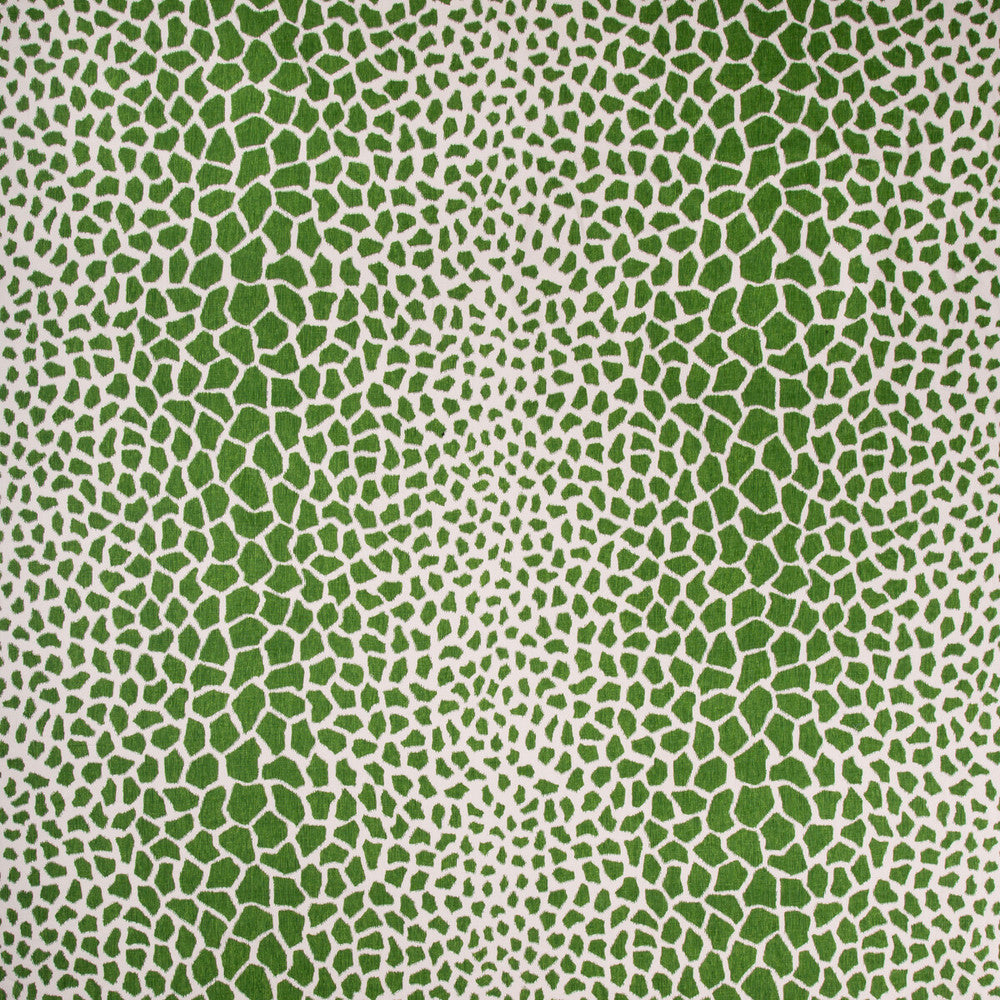 Jiraffa Fern by Brunschwig & Fils Fabric Brunschwig & Fils Fabric Jiraffa FernFabric BARET LINEN - 100% China </p><p>Repeat: H: 27, V: 26.5 54 - Fabric Carolina -