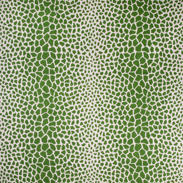 Jiraffa Fern by Brunschwig & Fils Fabric Brunschwig & Fils Fabric Jiraffa FernFabric BARET LINEN - 100% China </p><p>Repeat: H: 27, V: 26.5 54 - Fabric Carolina -