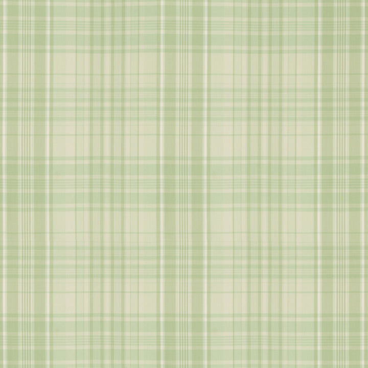 Guernsey Check Celery by Brunschwig & Fils Fabric Brunschwig & Fils Fabric Guernsey Check CeleryFabric NORMANT CHECKS AND STRIPES COTTON - 100% India </p><p>Repeat: H: 13.7, V: 13.6 53.5 - Fabric Carolina -