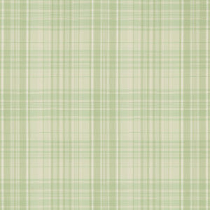 Guernsey Check Celery by Brunschwig & Fils Fabric