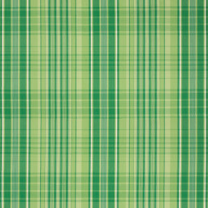 Guernsey Check Kiwi by Brunschwig & Fils Fabric