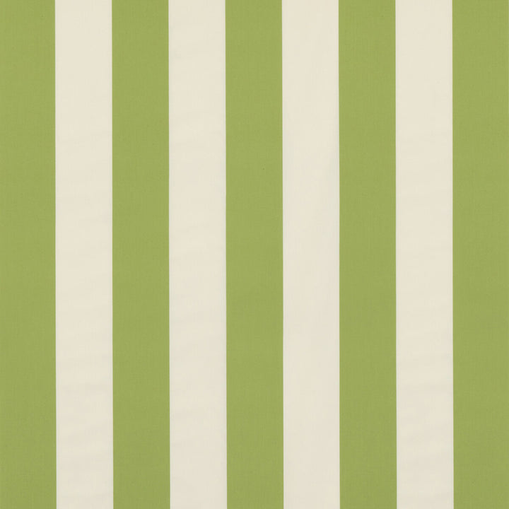 Robec Stripe Leaf by Brunschwig & Fils Fabric Brunschwig & Fils Fabric Robec Stripe LeafFabric NORMANT CHECKS AND STRIPES COTTON - 100% Italy </p><p>Repeat: H: 6.9344, V: 0 55.554 - Fabric Carolina -