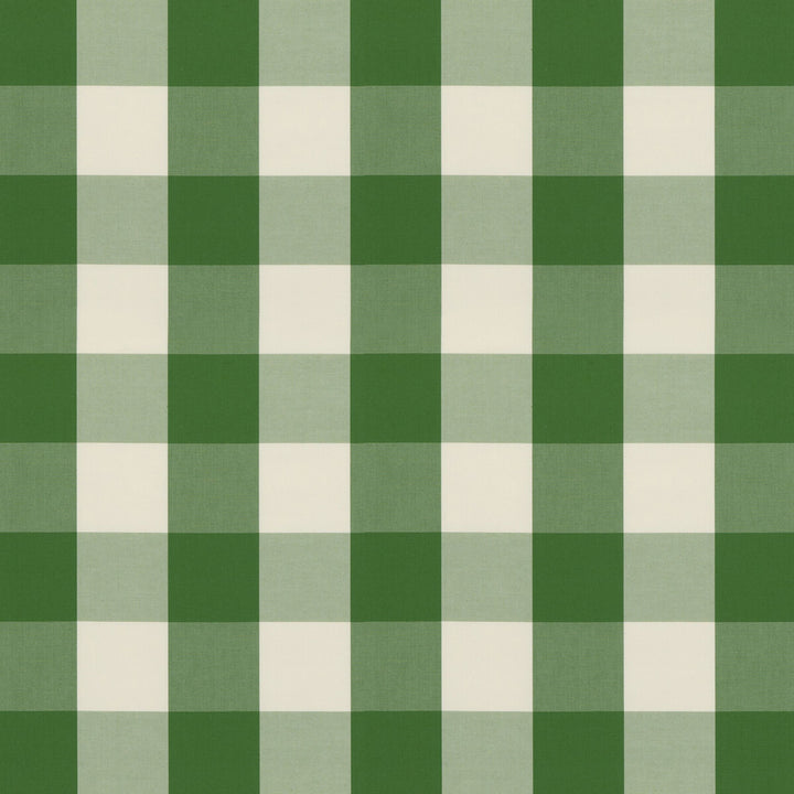 Lackland Check Fern by Brunschwig & Fils Fabric Brunschwig & Fils Fabric Lackland Check FernFabric NORMANT CHECKS AND STRIPES COTTON - 100% Italy </p><p>Repeat: H: 6.9344, V: 7.092 55.554 - Fabric Carolina -