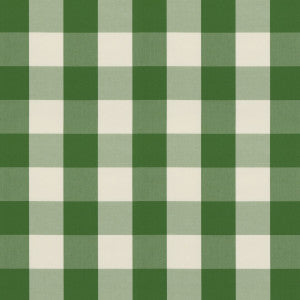 Lackland Check Fern by Brunschwig & Fils Fabric