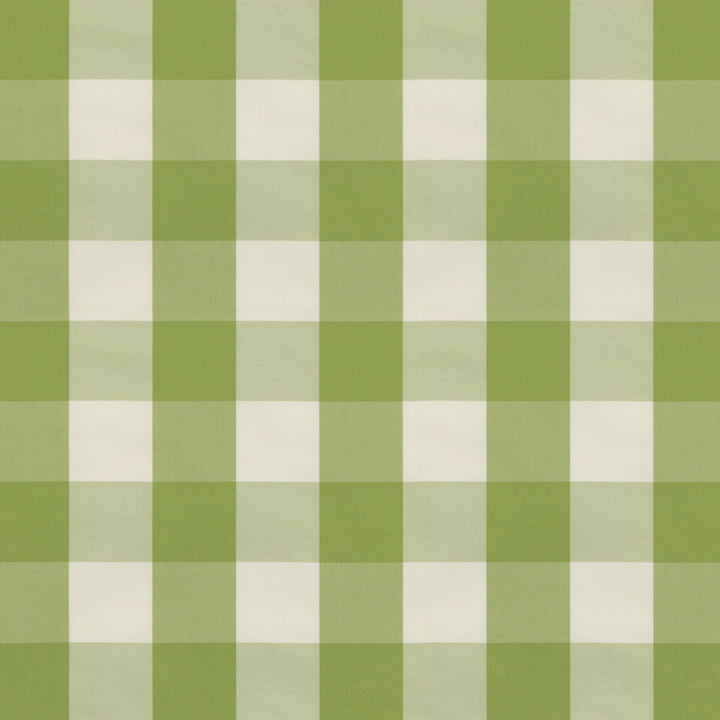 Lackland Check Leaf by Brunschwig & Fils Fabric Brunschwig & Fils Fabric Lackland Check LeafFabric NORMANT CHECKS AND STRIPES COTTON - 100% Italy </p><p>Repeat: H: 6.9344, V: 7.092 55.554 - Fabric Carolina -