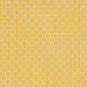 Tanneurs Woven Maize by Brunschwig & Fils Fabric