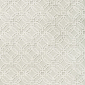 Salvy Print Dove by Brunschwig & Fils Fabric