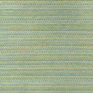Orelle Texture Forest by Brunschwig & Fils Fabric