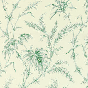 Lauziere Print Green by Brunschwig & Fils Fabric