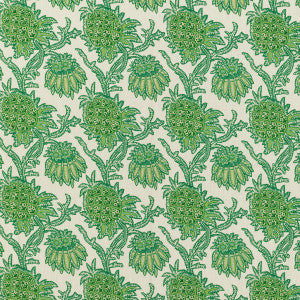 Brassac Print Green by Brunschwig & Fils Fabric