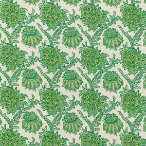 Brassac Print Green by Brunschwig & Fils Fabric