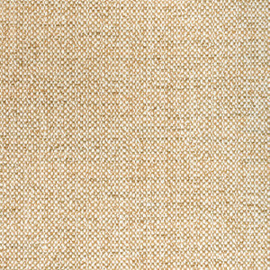 Rospico Plain Beige by Brunschwig & Fils Fabric
