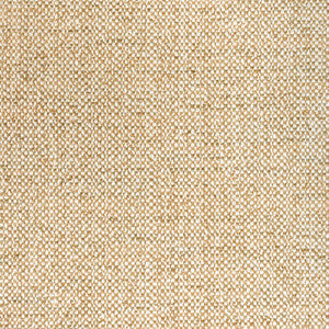 Rospico Plain Beige by Brunschwig & Fils Fabric