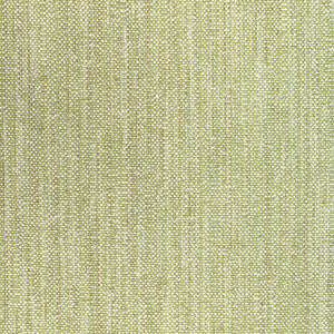 Rospico Plain Leaf by Brunschwig & Fils Fabric