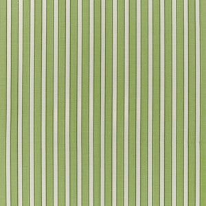 Rouen Stripe Green by Brunschwig & Fils Fabric
